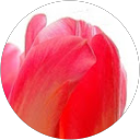 Rajani R profile picture